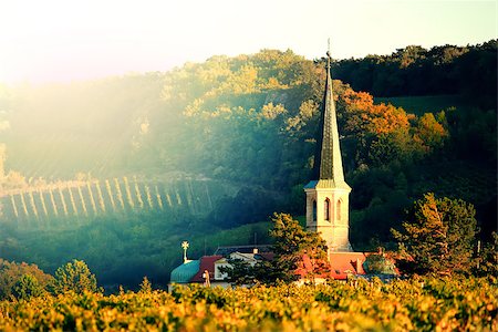 Photo of vineyard and church Stock Photo - Budget Royalty-Free & Subscription, Code: 400-07524541