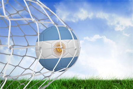 simsearch:858-03052829,k - Football in argentina colours at back of net against field of grass under blue sky Fotografie stock - Microstock e Abbonamento, Codice: 400-07528120