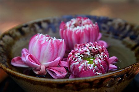 simsearch:614-00913197,k - pink lotus buds in a bowl of water Foto de stock - Super Valor sin royalties y Suscripción, Código: 400-07528989