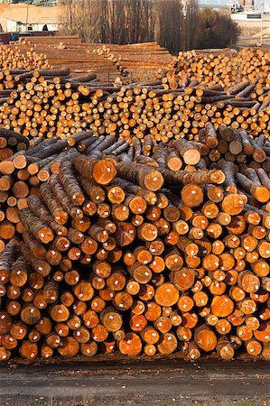 sawmill wood industry - Wood already taken from the forest waits for transport Foto de stock - Super Valor sin royalties y Suscripción, Código: 400-07544911