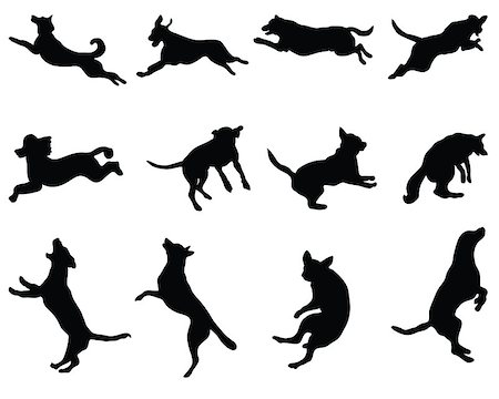 dobermann pinscher - Black silhouettes of jumping dogs, vector Foto de stock - Super Valor sin royalties y Suscripción, Código: 400-07545006