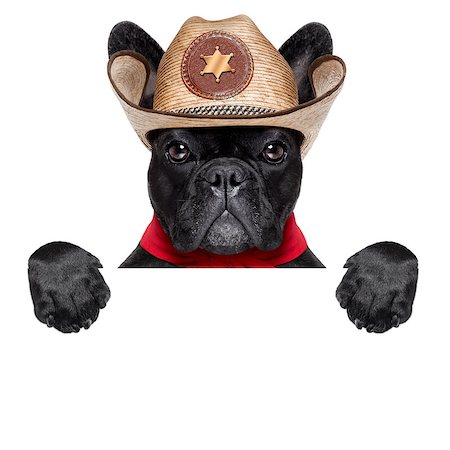 simsearch:400-07576471,k - cool cowboy dog behind white blank banner or placard Stockbilder - Microstock & Abonnement, Bildnummer: 400-07545419