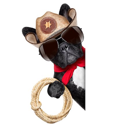 cowboy dog beside a white blank banner or placard Stock Photo - Budget Royalty-Free & Subscription, Code: 400-07545412