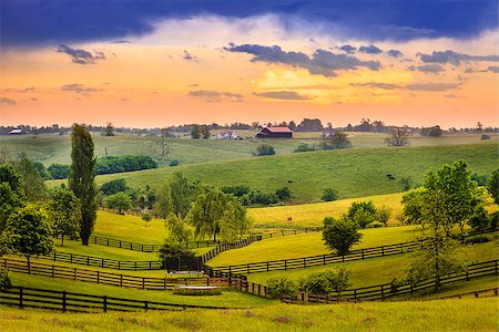 empty farm lands - Beautiful evening scene in Kentucky's Bluegrass region Stock Photo - Budget Royalty-Free & Subscription, Code: 400-07545799