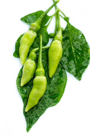 spice gardens - fresh green guinea-pepper (bird-chilli) with leaf on white backgroud Stock Photo - Budget Royalty-Free & Subscription, Code: 400-07546017