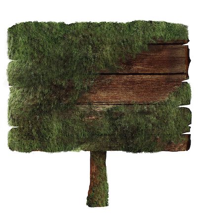 simsearch:400-07326710,k - Wooden sign covered in moss isolated on white. Wood sign Design element. Clipping path Stock Photo - Budget Royalty-Free & Subscription, Code: 400-07546064
