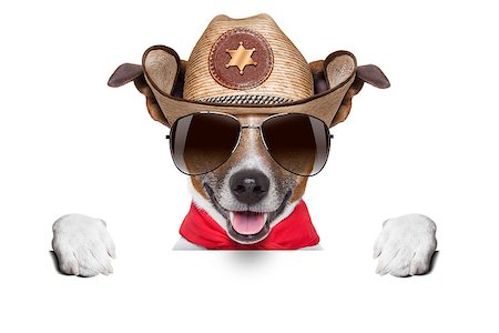 simsearch:400-04308263,k - cool cowboy dog hiding  behind white blank banner or placard Stock Photo - Budget Royalty-Free & Subscription, Code: 400-07546106