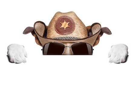 simsearch:400-04308263,k - cool cowboy dog hiding  behind white blank banner or placard Stock Photo - Budget Royalty-Free & Subscription, Code: 400-07546108