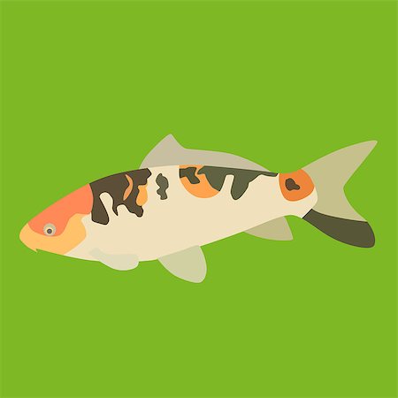Vector and illustration of fancy carp Stock Photo - Budget Royalty-Free & Subscription, Code: 400-07546811
