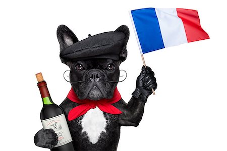 simsearch:400-06927182,k - french bulldog with red wine waving flag of france Stockbilder - Microstock & Abonnement, Bildnummer: 400-07547876