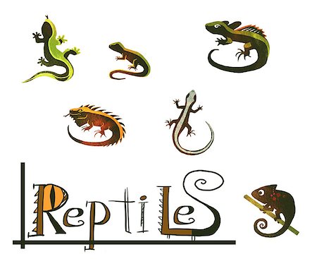 simsearch:400-04348871,k - Six different icons/ logos of reptiles and hand-drawn name. Photographie de stock - Aubaine LD & Abonnement, Code: 400-07549064