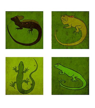 simsearch:400-04348871,k - Four isolated green illustrations of different lizards Photographie de stock - Aubaine LD & Abonnement, Code: 400-07549065