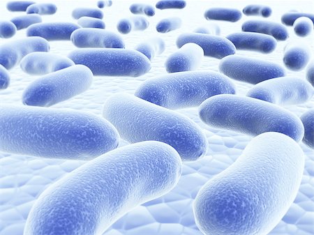 simsearch:400-04337180,k - Colony of pathogen bacteria - 3d render Stock Photo - Budget Royalty-Free & Subscription, Code: 400-07549128