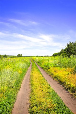 shrubs walkway - Rural summer landscape with old road Photographie de stock - Aubaine LD & Abonnement, Code: 400-07549159