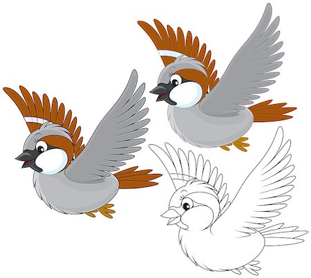 simsearch:400-07518178,k - Little grey sparrow flying, color and black-and-white outline illustrations on a white background Stockbilder - Microstock & Abonnement, Bildnummer: 400-07549259