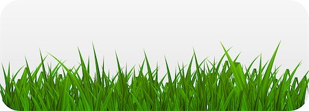 simsearch:400-04322702,k - Summer Abstract Background with Grass. Vector Illustration Foto de stock - Super Valor sin royalties y Suscripción, Código: 400-07549438