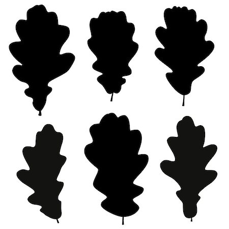 Set of vector black oak leaves outline on the white background for your design Stock Photo - Budget Royalty-Free & Subscription, Code: 400-07555053