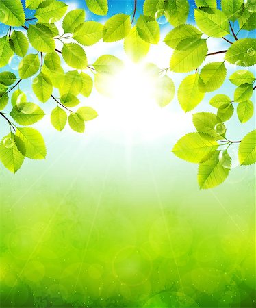 Vector illustration summer landscape with green leaves Photographie de stock - Aubaine LD & Abonnement, Code: 400-07555282