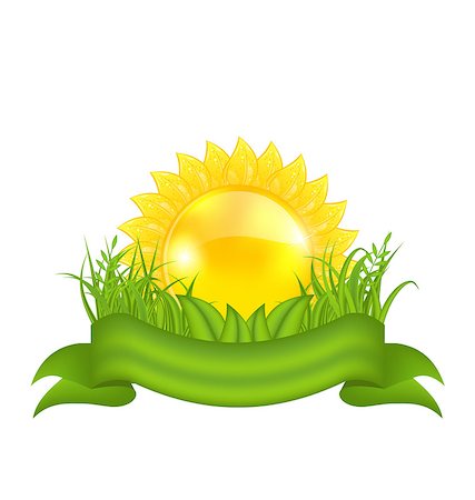 simsearch:400-07556059,k - Illustration nature symbols -  sun, green leaves, grass, ribbon - vector Stockbilder - Microstock & Abonnement, Bildnummer: 400-07556021