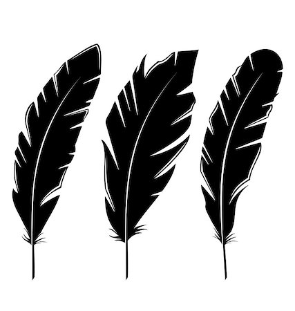 simsearch:400-04824743,k - Illustration set feathers isolated on white background - vector Photographie de stock - Aubaine LD & Abonnement, Code: 400-07556090