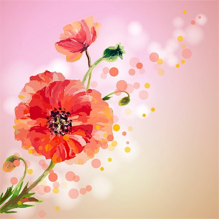 simsearch:400-07421243,k - Poppies. Summer flowers invitation template card Stock Photo - Budget Royalty-Free & Subscription, Code: 400-07556128