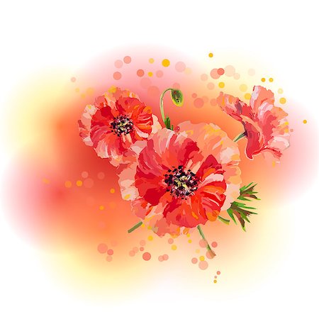 simsearch:400-08530064,k - Poppies. Summer flowers invitation template card Stock Photo - Budget Royalty-Free & Subscription, Code: 400-07556133