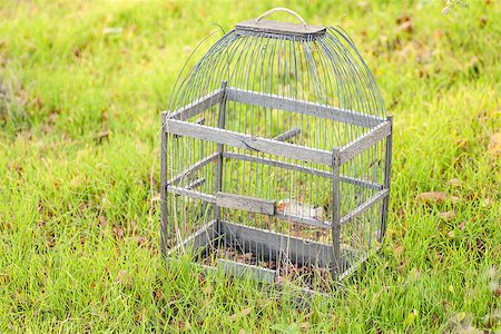 Old cage for birds on a green  grass Stock Photo - Budget Royalty-Free & Subscription, Code: 400-07556206