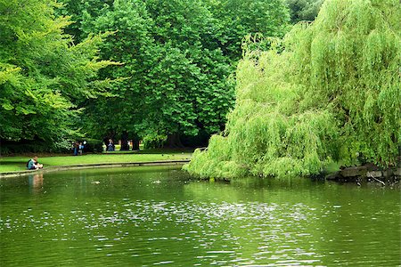 St Stephen's Green park in Dublin Stock Photo - Budget Royalty-Free & Subscription, Code: 400-07556716