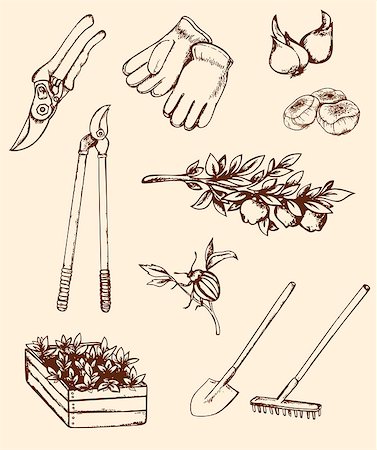 spade shovel vintage - Set of vintage hand drawn garden tools Photographie de stock - Aubaine LD & Abonnement, Code: 400-07556874