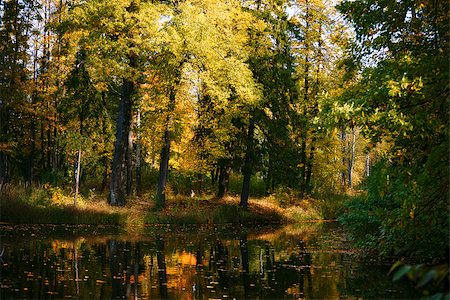 simsearch:400-04804407,k - calm river in autumn forest Stock Photo - Budget Royalty-Free & Subscription, Code: 400-07556980