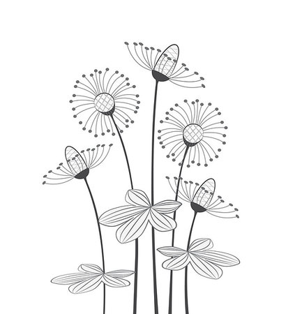 plant drawing decor - meadow flowers on a white background Stock Photo - Budget Royalty-Free & Subscription, Code: 400-07557293