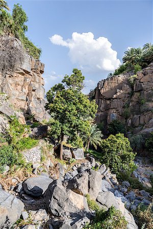 simsearch:400-07557664,k - Image of landscape at Misfah al abreyeen in Oman Stock Photo - Budget Royalty-Free & Subscription, Code: 400-07557667