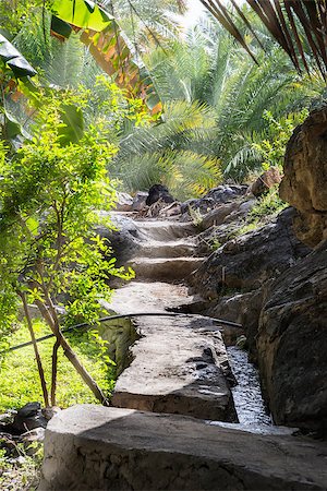 simsearch:400-07837352,k - Image of path in Misfah al abreyeen in Oman Stock Photo - Budget Royalty-Free & Subscription, Code: 400-07557704