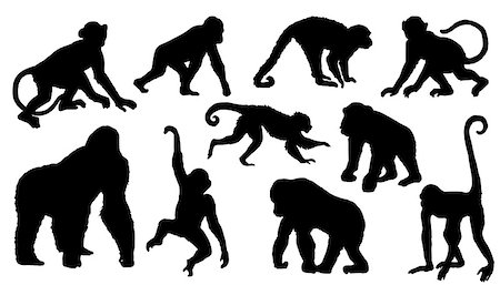 monkey silhouettes on the white background Stock Photo - Budget Royalty-Free & Subscription, Code: 400-07550023