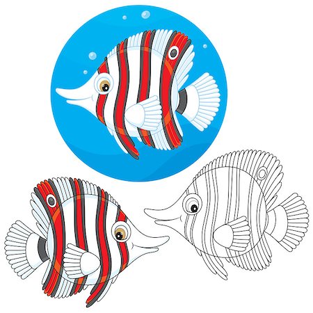 falterfisch - Striped tropical fish, three versions of the vector illustration in a cartoony style Stockbilder - Microstock & Abonnement, Bildnummer: 400-07550630