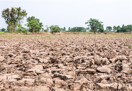 Barren ground was plowed for cultivation in the countryside of Thailand. Foto de stock - Royalty-Free Super Valor e Assinatura, Número: 400-07550695