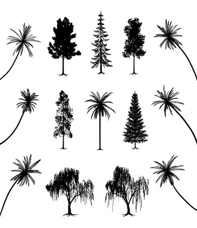 Collection of trees with roots and palms. EPS file available. Stock Photo - Budget Royalty-Free & Subscription, Code: 400-07550802