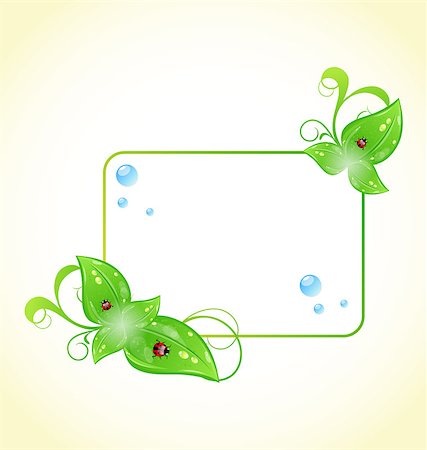 simsearch:400-07556059,k - Illustration eco friendly frame with green leaves and ladybugs - vector Stockbilder - Microstock & Abonnement, Bildnummer: 400-07551433