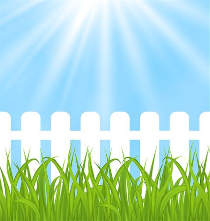 simsearch:400-04201942,k - Illustration fresh green grass over wood fence background  - vector Stock Photo - Budget Royalty-Free & Subscription, Code: 400-07551450