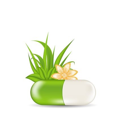 simsearch:400-08697202,k - Illustration natural medical pill with flower, leaves, grass, isolated on white background - vector Stock Photo - Budget Royalty-Free & Subscription, Code: 400-07551486