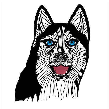 simsearch:400-09158556,k - Dog husky head vector animal illustration for t-shirt. Sketch tattoo design. Foto de stock - Royalty-Free Super Valor e Assinatura, Número: 400-07551650