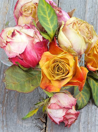 simsearch:400-05947571,k - Arrangement of Colorful Withered Roses with Leafs in Glass Vase isolated on Rustic Wooden background Stock Photo - Budget Royalty-Free & Subscription, Code: 400-07553189