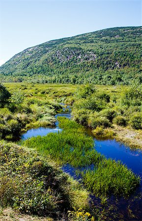 dbvirago (artist) - River running through lush landscape by Mountain in Maine Fotografie stock - Microstock e Abbonamento, Codice: 400-07567694