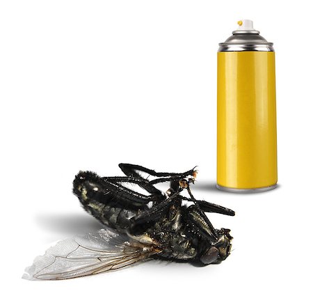 simsearch:400-09051551,k - Insecticide spray bottle can and dead fly on white background isolated Photographie de stock - Aubaine LD & Abonnement, Code: 400-07568269