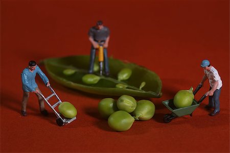 Miniature Construction Workers in Conceptual Food Imagery With Snap Peas Stock Photo - Budget Royalty-Free & Subscription, Code: 400-07568881