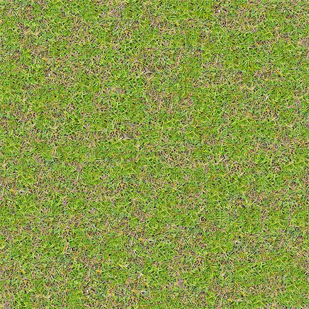 simsearch:400-07830872,k - Tender Young Spring Grass. Seamless Tileable Texture. Foto de stock - Royalty-Free Super Valor e Assinatura, Número: 400-07569350