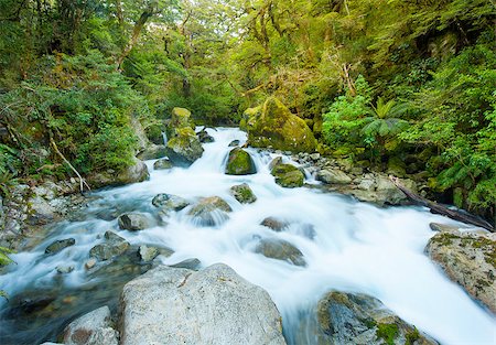 simsearch:400-07625545,k - Beautiful Marian Creek feeds from the Lake Marian. The creek is located in a beautiful wild forests of Fiordland National Park, South island of New Zealand. long exposure Stock Photo - Budget Royalty-Free & Subscription, Code: 400-07569668