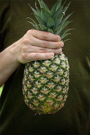 pineapple growing - Fresh pineapple fruit. Pineapple in man's hand. Tropical fruit Stock Photo - Budget Royalty-Free & Subscription, Code: 400-07569902