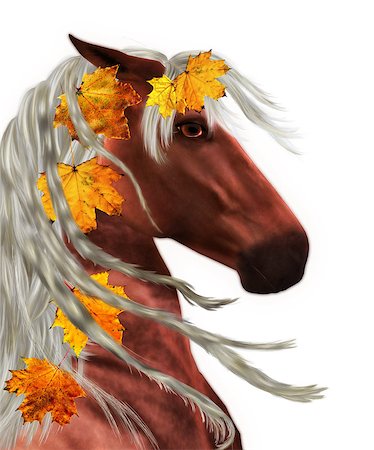 Beautiful autumn horse portrait with maple leaves, seasons conceptual background. Stock Photo - Budget Royalty-Free & Subscription, Code: 400-07575035