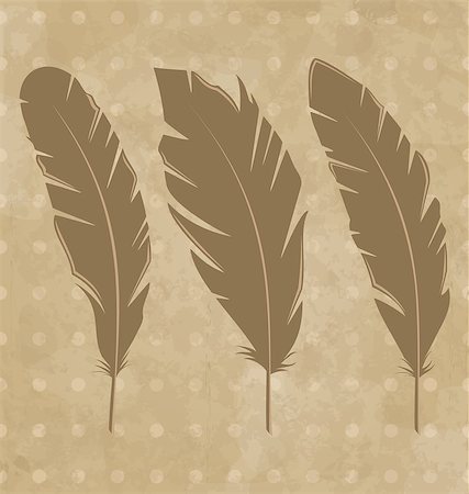 simsearch:400-04824743,k - Illustration set vintage feathers on grunge background - vector Photographie de stock - Aubaine LD & Abonnement, Code: 400-07575550